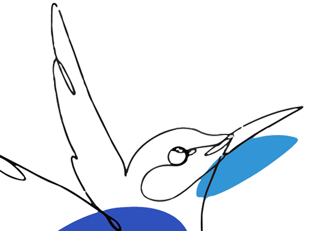 Oiseau illustratif